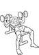 Benchpress dumbbells